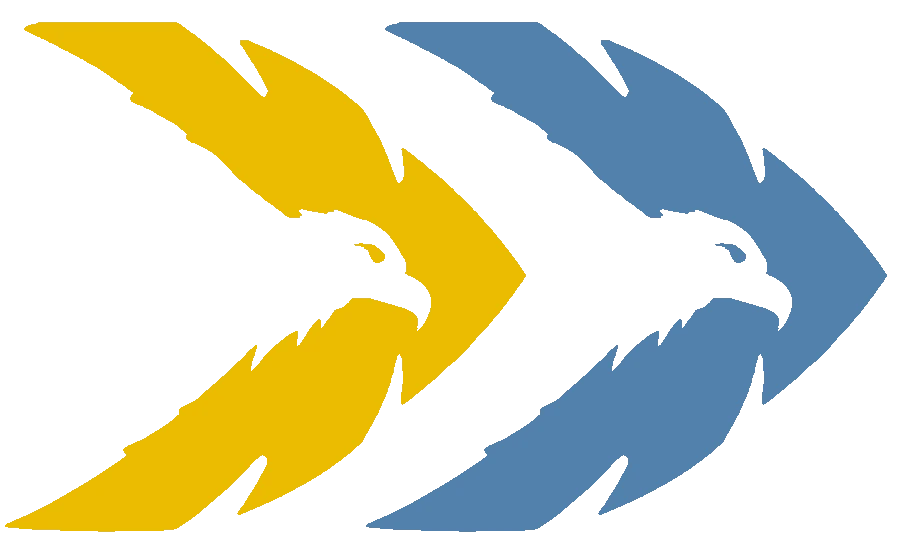 Twin Eagle Solutions